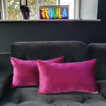 Load image into Gallery viewer, Magenta/Emerald Green Double-Sided Rectangular Plush Velvet Cushion
